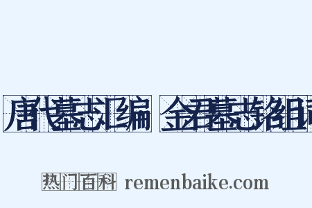 唐代墓志汇编·金君墓志铭组词是什么意思的图片